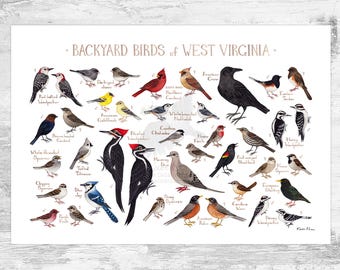 May include: A colourful illustrated guide to backyard birds of West Virginia. The poster features 28 different bird species, including the Northern Cardinal, American Goldfinch, and Red-bellied Woodpecker. Each bird is depicted in its natural colours and is labelled with its common name.