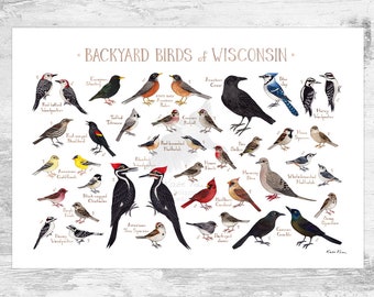 Wisconsin Backyard Birds Field Guide Art Print / Watercolor Painting Print / Birdwatching Wall Art / Nature Print / Bird Poster
