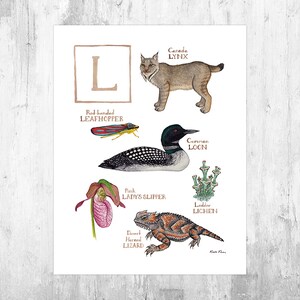 Letter "L" Nature Alphabet Art Print  / Monogram / Initial Wall Art / Watercolor Nature Print