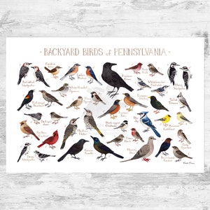 Pennsylvania Backyard Birds Field Guide Art Print / Watercolor Painting Print / Birdwatching Wall Art / Nature Print / Bird Poster