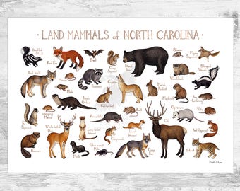 Op de afbeelding: Een print met aquarel illustraties van verschillende landzoogdieren uit North Carolina, waaronder een zwarte beer, een hert, een vos en een stinkdier. De titel "Land Mammals of North Carolina" staat bovenaan.