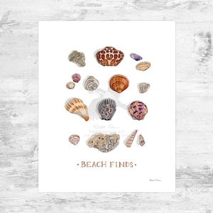 Beach Finds Signed 8x10 Art Print / Various Shells on the Florida Space Coast