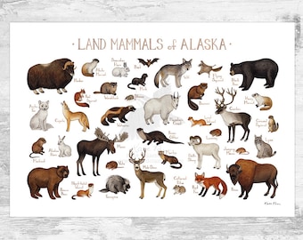 Impression d'art guide de terrain sur les mammifères terrestres de l'Alaska / Animaux d'Alaska / Peinture à l'aquarelle / Art mural / Impression de la nature / Poster animalier