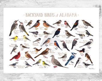 Alabama Backyard Birds Field Guide Art Print / Watercolor Painting Print / Birdwatching Wall Art / Nature Print / Bird Poster