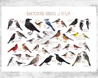 Iowa Backyard Birds Field Guide Art Print / Watercolor Painting Print / Birdwatching Wall Art / Nature Print / Bird Poster