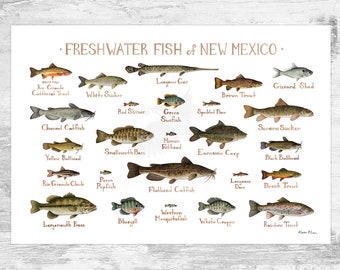 New Mexico Freshwater Fish Field Guide Art Print / Fish Nature Study Poster