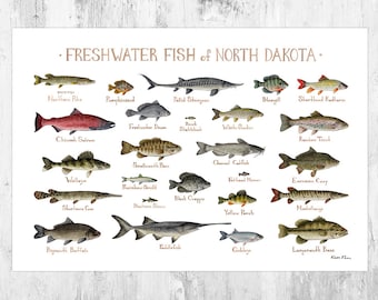 North Dakota Freshwater Fish Field Guide Art Print / Fish Nature Study Poster