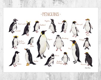 Penguins of the World Field Guide Art Print / Watercolor Painting / Wall Art / Nature Print / Bird Poster