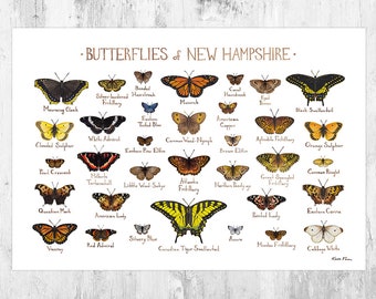 New Hampshire Butterflies Field Guide Art Print / Butterfly Poster / Watercolor Painting / Wall Art / Nature Print