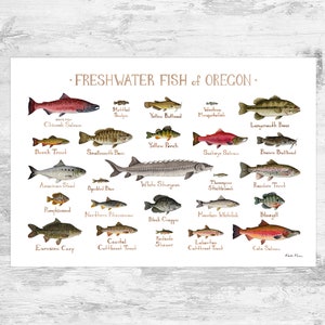 Oregon Freshwater Fish Field Guide Art Print / Fish Nature Study Poster