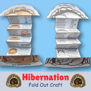May include: Two accordion-style paper crafts titled Animal Hibernation, one in color and one in black and white. Each features a cave-shaped top and bottom with four internal panels detailing hibernation facts, including text and illustrations of animals.