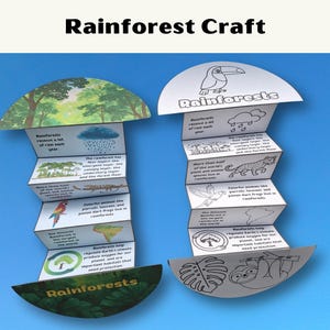 May include: Two accordion-folded paper crafts titled Rainforest Craft. One features full-colour illustrations of rainforest elements, while the other is a black-and-white outline version for colouring. Both contain text about rainforest layers and ecology.