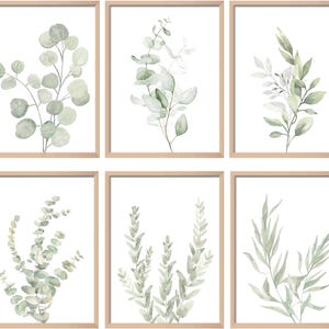 May include: A set of six rectangular wall art prints, each featuring a different botanical illustration of green leaves and stems on a white background, enclosed in a light-colored wooden frame with a clean, simple border design.