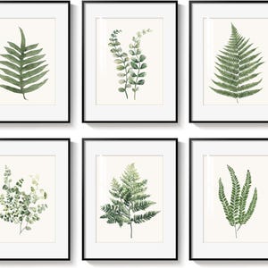 Puede incluir: Seis impresiones botánicas enmarcadas con ilustraciones de acuarela de hojas de helechos verdes. Cada impresión está sobre un fondo blanco y enmarcada en un marco negro. Las impresiones muestran diferentes variedades de helechos, ofreciendo una estética natural y artística.