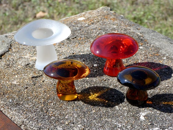 Viking Mushrooms THREE Viking Plus One - Large Crystal Frost