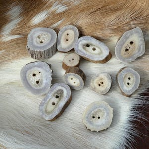 May include: A collection of 10 natural antler buttons in various sizes and shapes. The buttons are a light brown color with a smooth, polished finish. They have two holes each for sewing.
