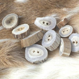 Deer Antler Buttons: Naturally Shed White Tail, Primitive 2-Hole Set