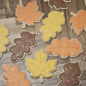 Fall Assorted Cookie Set: Leaves and Acorns Sugar Cookies