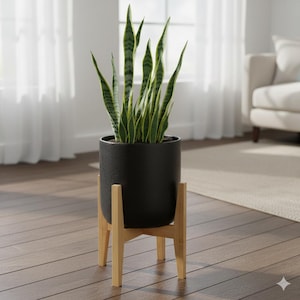 May include: A snake plant in a black ceramic pot, with green and yellow striped leaves. The pot is on a light brown wooden stand. The plant is positioned in front of a window with white curtains.