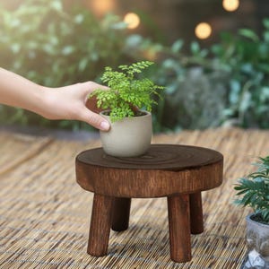 May include: A miniature wooden plant stand, stained dark brown, supporting a small potted fern. The stand has three legs and a circular top. The fern has vibrant green foliage. The background is blurred, suggesting an outdoor setting.