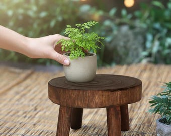 Ply Wood Round Plant Stand | Rustic Flower Pot Riser & Decorative Display Base
