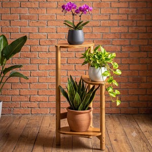 May include: A three-tiered bamboo plant stand with a light wood finish. The top shelf holds a dark grey textured pot with a purple orchid. The middle shelf holds a white pot with a trailing green plant. The bottom shelf holds a terracotta pot.