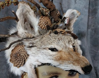 Unisex Large Coyote Headpiece Headdress Real Fur Pelt & Crystals  Woodland Celtic Pagan Druid Ritual Tribal Native Renfest Shaman Costume