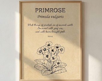 Vintage Blumen-Zitat-Kunst, Robert Herrick Primrose Botanisches Plakat, digitaler Download