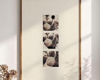 Vintage Blumen Fotografie Poster, Retro Film Stil Druck, digitaler Download