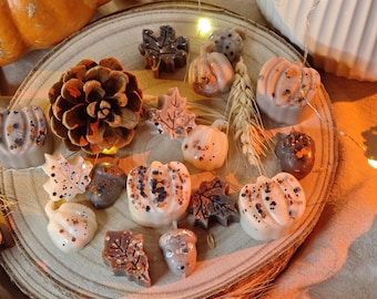 Herbst Wax Melts aus Sojawachs – Kürbis & Blätter Duftwachs