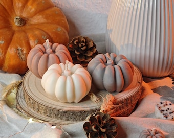 Kürbis Kerze aus Rapswachs – Vela de calabaza grande y pequeña para decoración de hierbas modernas