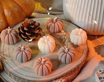 Juego de 12 Mini Kürbiskerzen aus Rapswachs / Handgegossene Herbstkerzen / Tischdeko & Geschenk