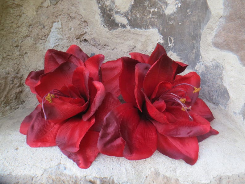 May include: Two large, deep red amaryllis flowers with yellow centers. The flowers are arranged in a circle and are against a light gray background.