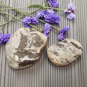 Zebra Patterned Stacking Stones Pair Striped Rocks Table Vignette Indoor Aquarium Tank Decor