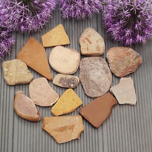 May include: A collection of various earth-toned stone and ceramic fragments in shades of tan, brown, ochre, and terracotta. The pieces vary in shape, including triangular, rounded, and irregular shards, arranged together on a gray surface.