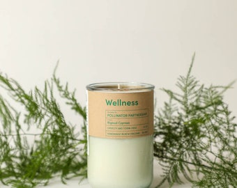 WELLNESS, Candle that gives to Bees and Pollinators. Cypress & Honey Scent