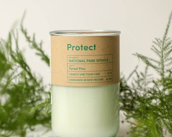 PROTECT, Candle that gives to National Parks. Evergreen Scent