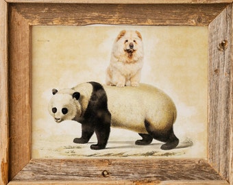 Chow Chow Panda Etsy Chow Chow Panda Etsy