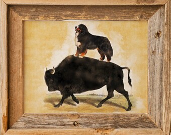 Vintage Bernese Mountain Dog Riding Bison Canvas Print - Nobility Dog Gifts for Mom and Dad