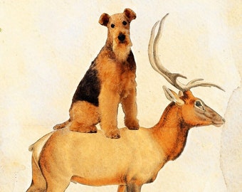 Airedale Terrier Riding Elk Vintage Print - Canvas Fine Art Print and Mug- Dog Mom Dad Gifts