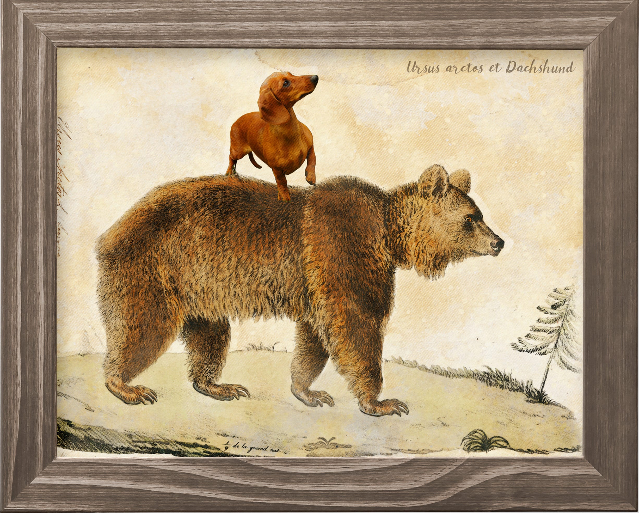 Cannot Guarantee Instructions are in English Ursus Scrapbooking Stretcher Frame Ready to Hang Ornament Material and Instructions Cannot Guarantee Instructions are in English Ursus Scrapbooking Stretcher Frame Ready to Hang Ornament Material and Instructions