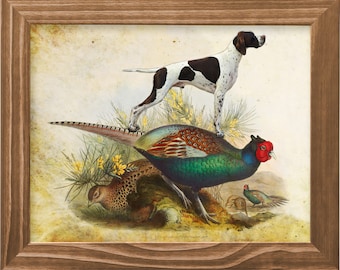 English Pointer Dog Riding Pheasant Vintage Art Print