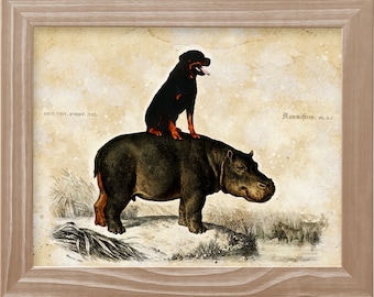 Rottweiler Rottie riding Hippopotamus Art Vintage CANVAS Print Dog Mom and Dad Personalized gifts Vintage Dog