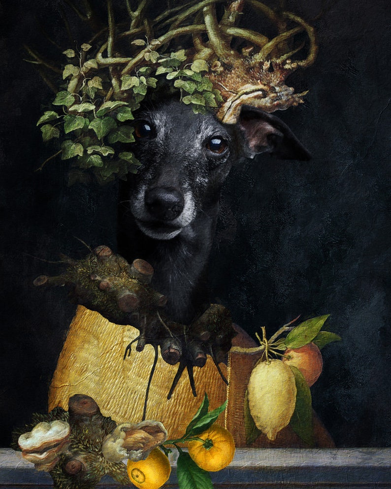 Italienischer Windhund Geschenke, Iggy Hund Kunst, Winter, Frühling, Sommer, Herbst, vier Jahreszeiten Arcimboldo, Renaissance Hund Mama & Papa Geschenke Bild 3