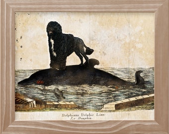Portuguese Water Dog Vintage Art Print: Dog Riding Dolphin Canvas