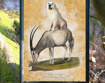 Great Pyrenees Dog riding Oryx Art Vintage Print Ad (CANVAS Print, Fine Art Print, Mug, Pillow, Tote Bag) Gifts for Dog Mom & Dad