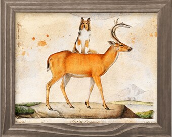 Sable Sheltie Riding Deer Vintage Art Print: Dog Mom Gift