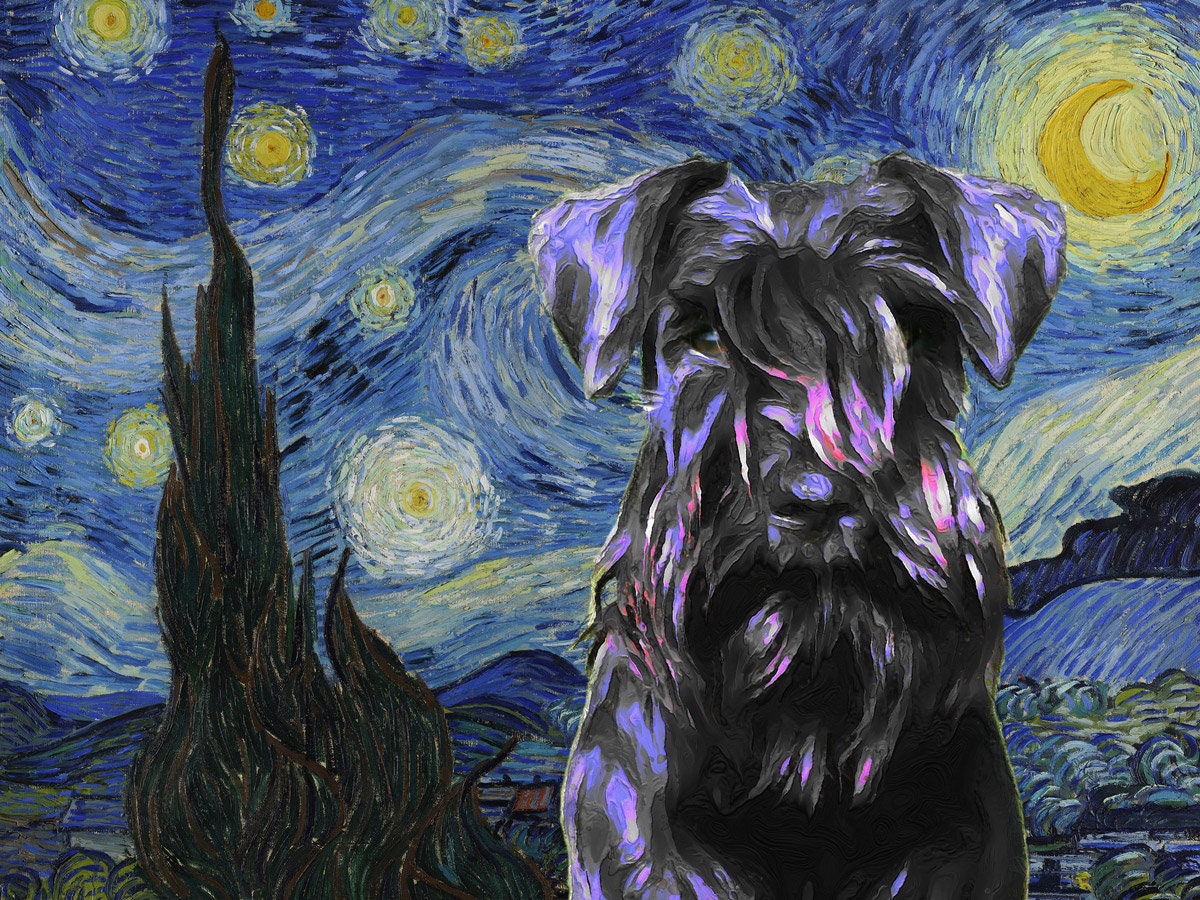 Mini Schnauzer Babytier Schoßhund Foto Und Bild zum kostenlosen Download -  Pngtree, image size:1200x900