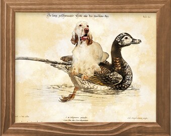 Lámina artística vintage de un setter inglés montando un pato: regalo para amantes de los perros.