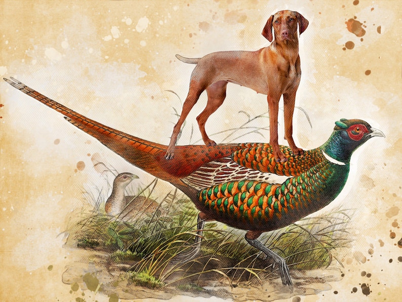 Hungarian Vizsla Dog riding pheasant Art Vintage CANVAS Print Dog Mom and Dad Personalized gifts choose riding animal